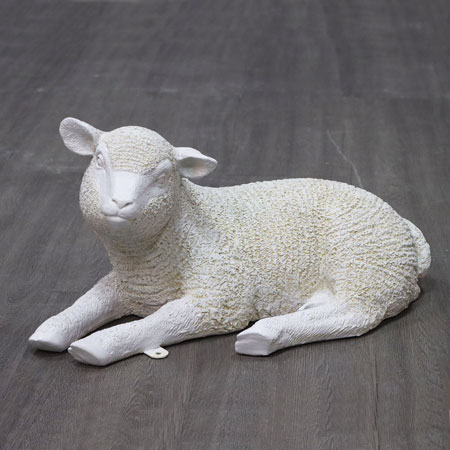 Nativity Lamb