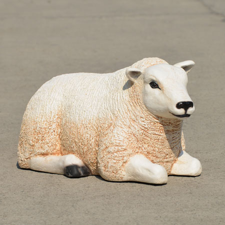 Small resting sheep