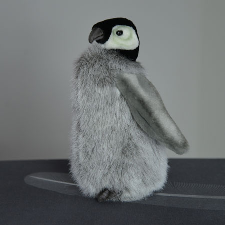 Hansa Penguin Chick profile