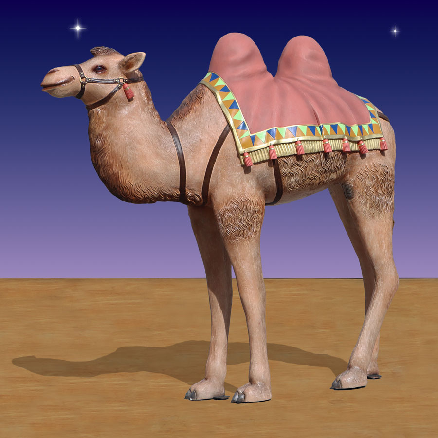 Camel with Rug