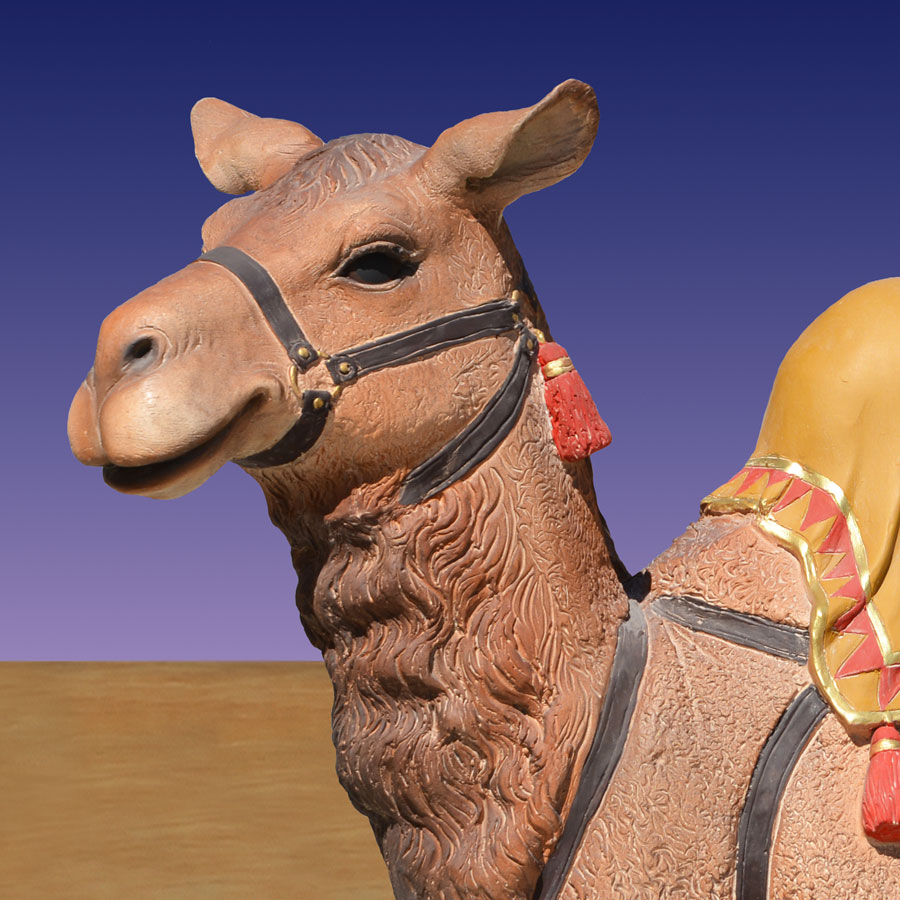 Resting Camel