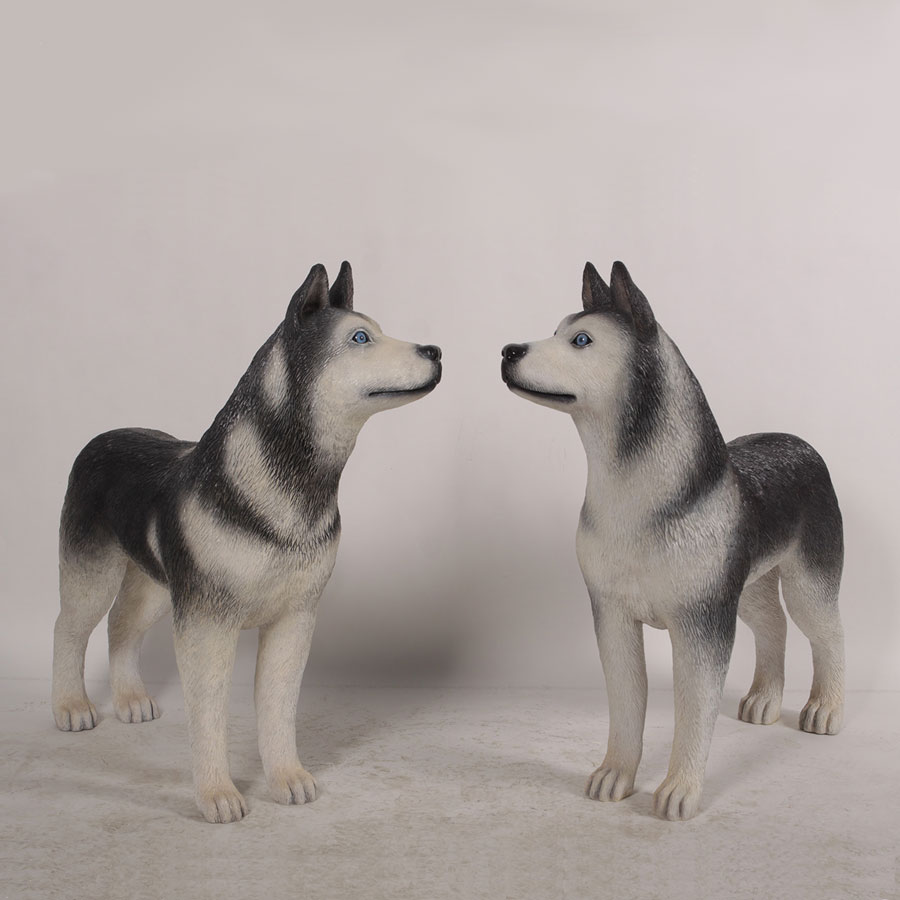 are siberian huskies better in pairs