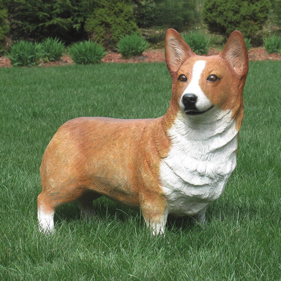 Pembroke Welsh Corgi (standing) - Cool Dog Trays