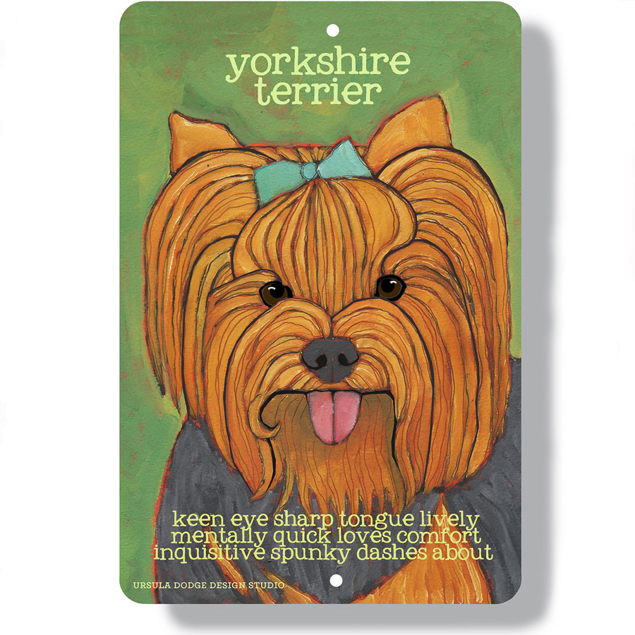 Yorkshire Terrier dog 