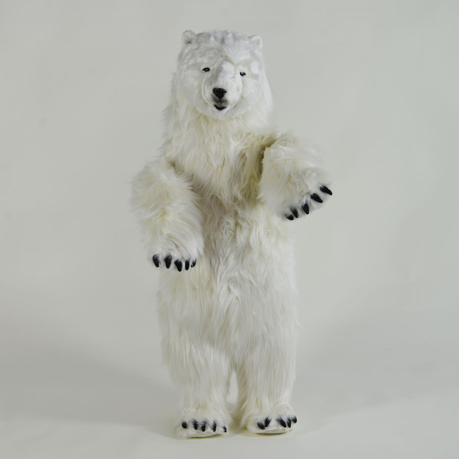 Indoor Polar Cub