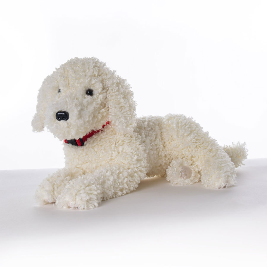 Doodle Best Friend 34in L by Ditz Designs