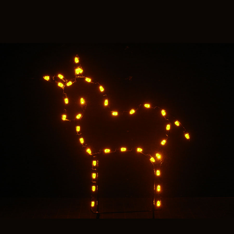Donkey Light Display