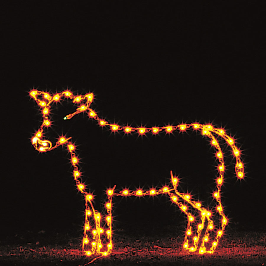 Cow Light Display