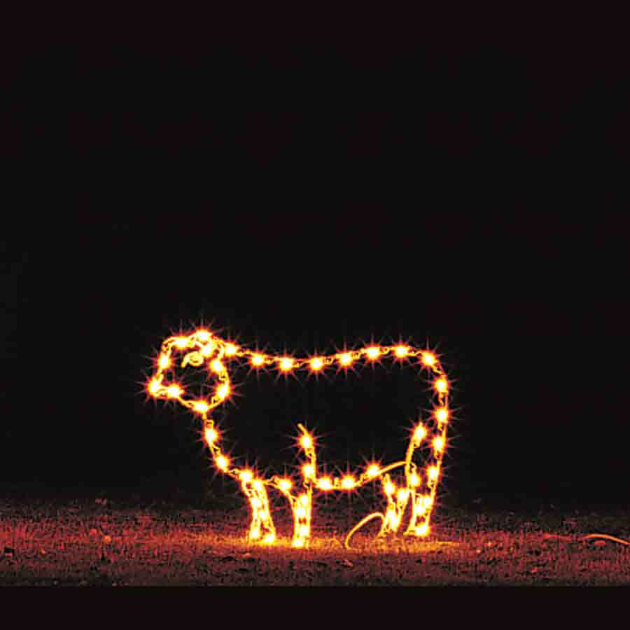 Led Standing Sheep 3 ­