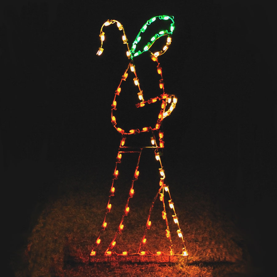 Holiday Lights Shepherd