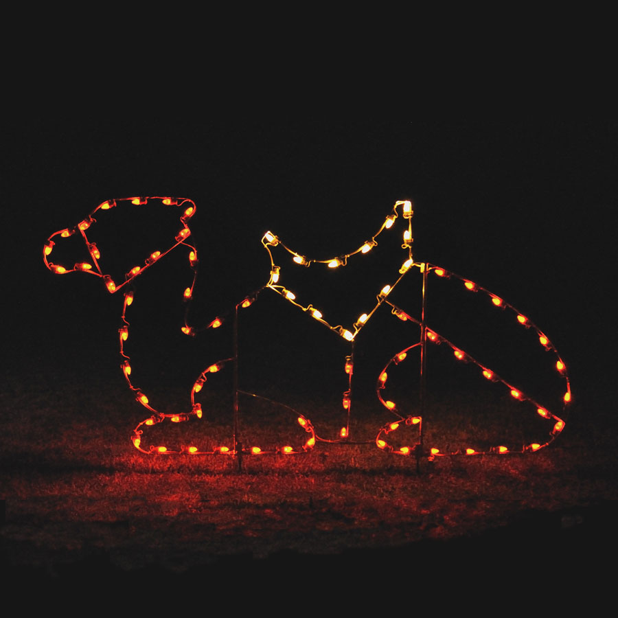 Holiday Lights Camel