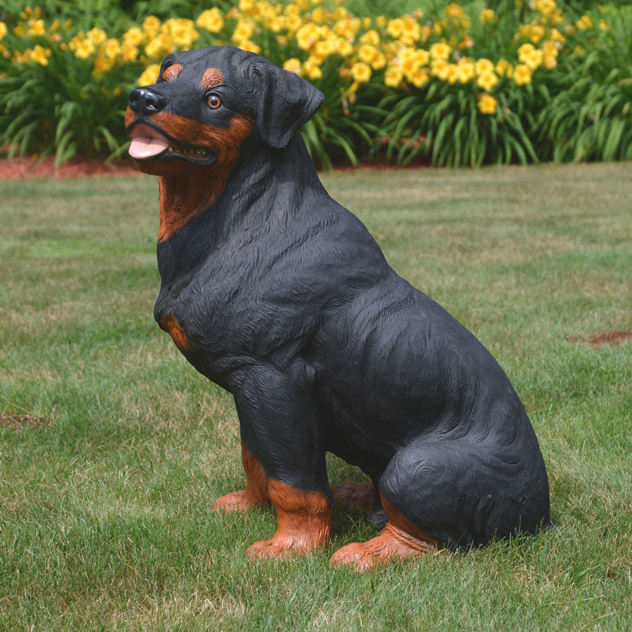 Resin Rottie dog statue