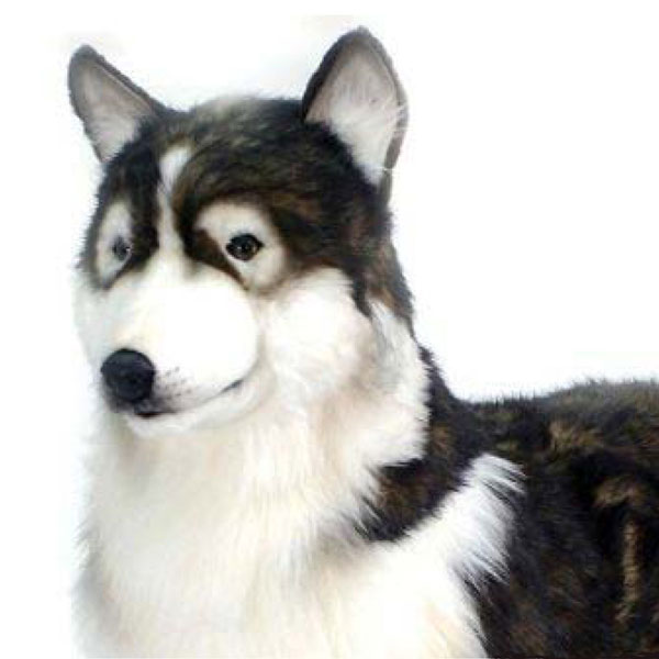 life like husky toy