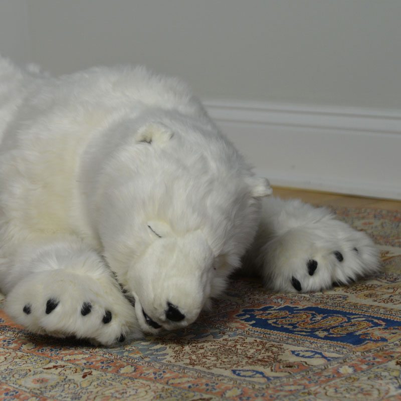 Close up of polar bear cub
