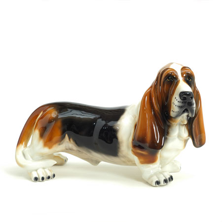 Basset Hound