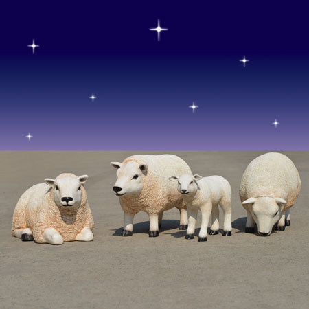 Small Sheep and Lamb Set