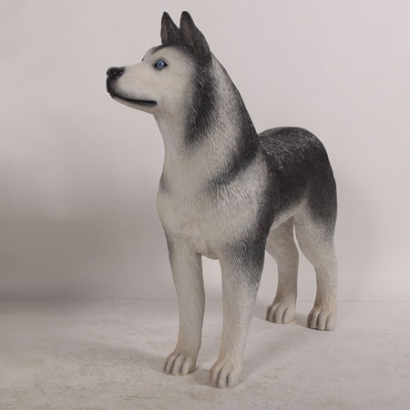 Ceramiche Boxer Italy Siberian Husky Statue - H 35.4in