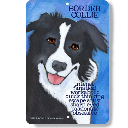 Border Collie