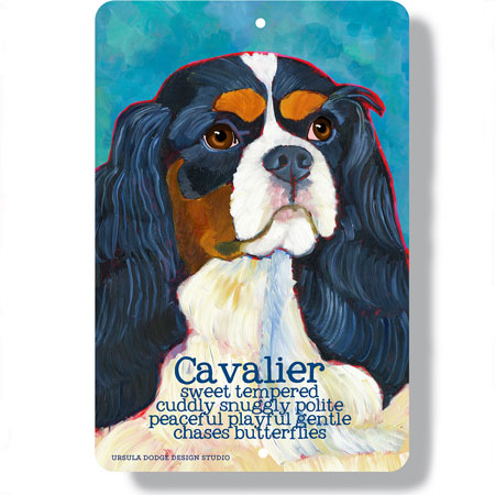 Cavalier King Charles Spaniel