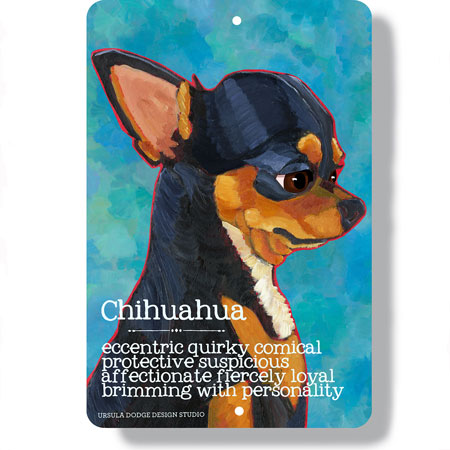 Chihuahua dog