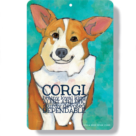 Corgi dog