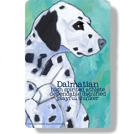 Dalmatian dog