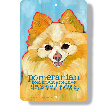 Pomeranian dog