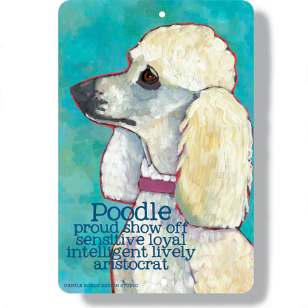 Poodle dog