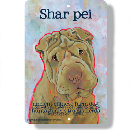 Shar-Pei dog