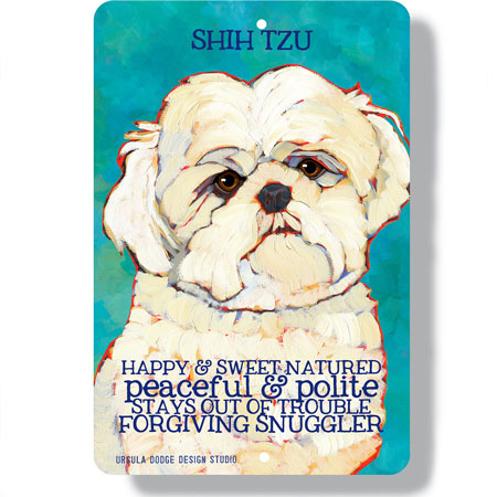 Shih Tzu dog 