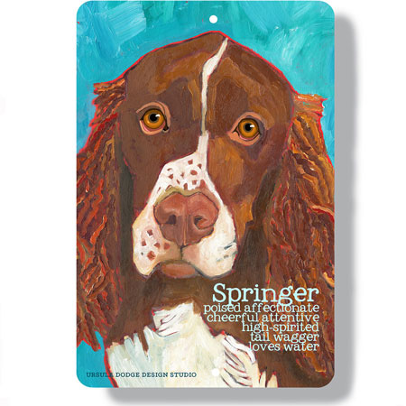 Springer Spaniel Dog