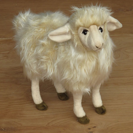 Hansa Lamb