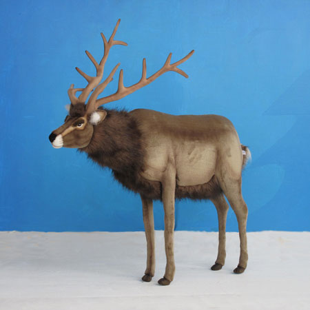 Life Size Reindeer