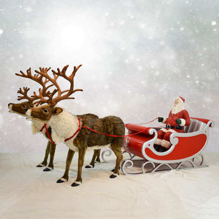 Santa Sleigh and Reindeer