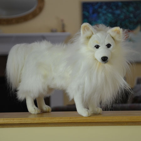 Plush Spitz