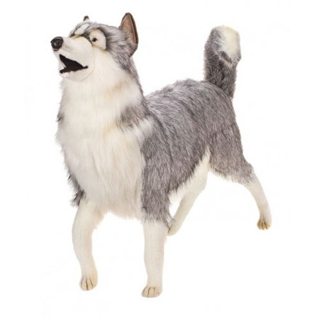 Stuffed Husky dog