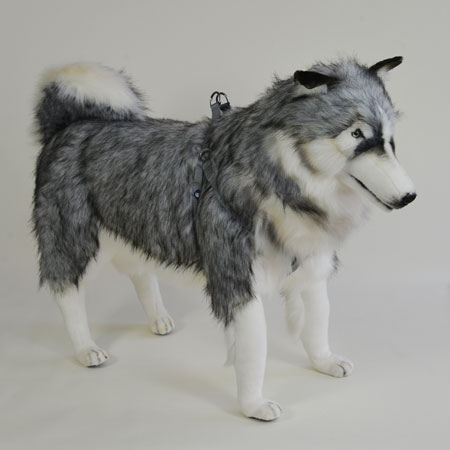 Stuffed Husky dog