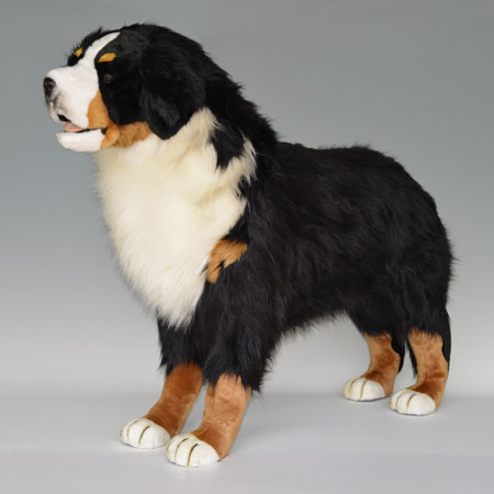 Plush Bernese Mountain Dog