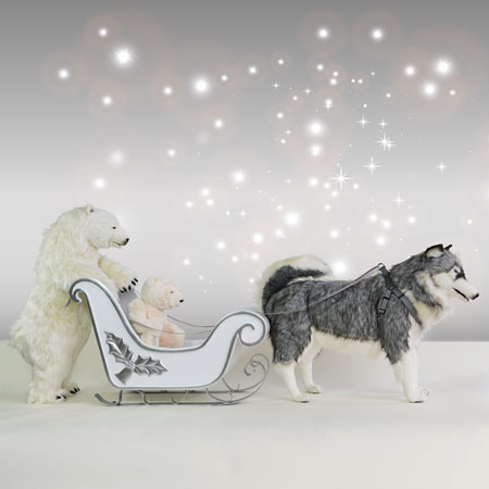 Indoor Husky Dog Polar Bear Sled