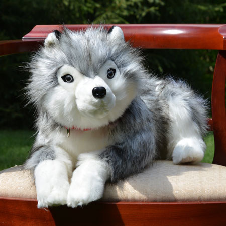 Stuffed Husky lap dog
