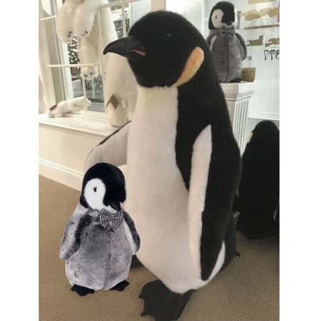 Emperor Penguin and Baby