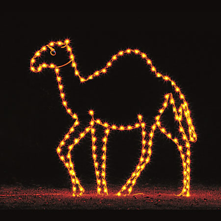 Camel Light Display