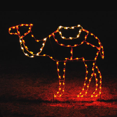 Holiday Lights Camel