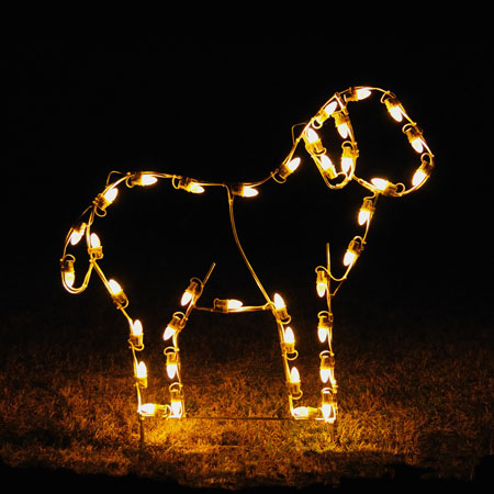 Holiday Lights Sheep