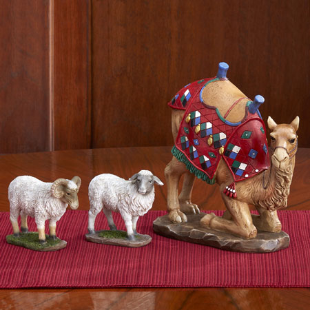 Real Life Nativity Animals