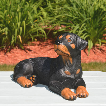 Resin Rottie puppy statue