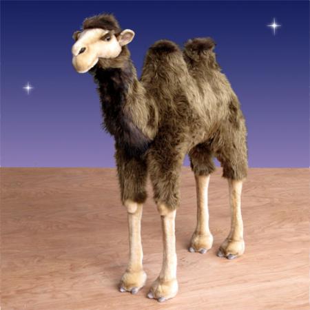 Nativity Camel