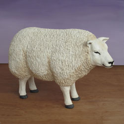Nativity Standing Sheep
