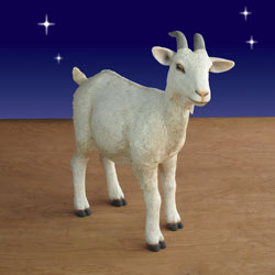 Nativity Goat