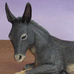 Resting Donkey